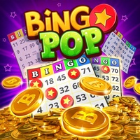 Bingo Bingo
